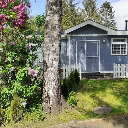 Chalet Knus Buitenhuisje Aan De Veluwe